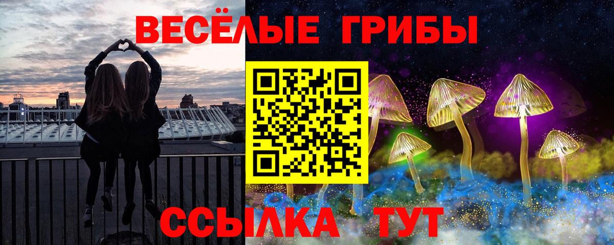 Галлюциногенные грибы Psilocybe Нефтекамск