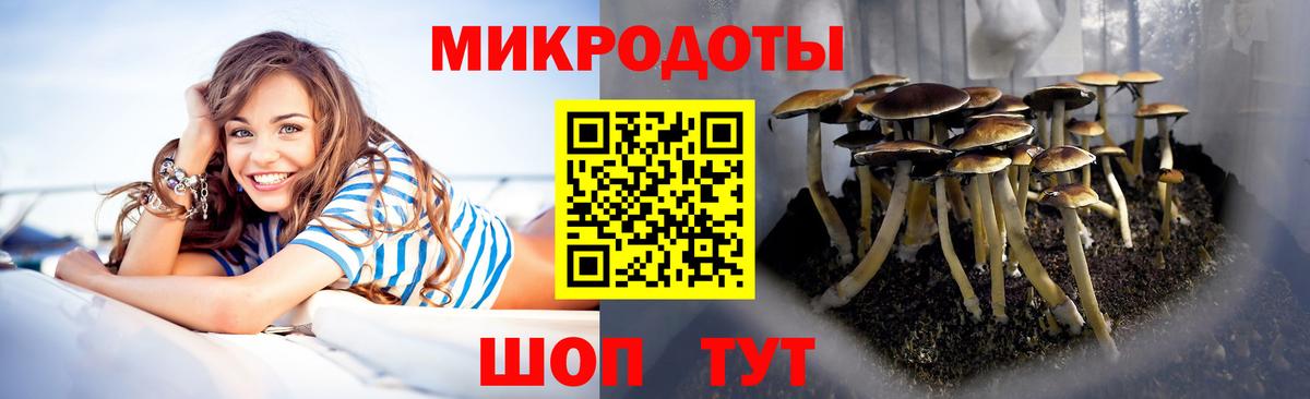 Нефтекамск  Псилоцибиновые грибы прущие грибы  где купить наркоту  Вход с VPN 
